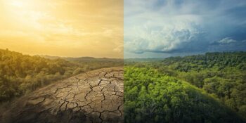 Effetti del cambiamento climatico.https://img.freepik.com/premium-photo/splitscreen-image-where-one-half-shows-dry-landscape-other-half-shows-green-forest_1268699-584.jpg