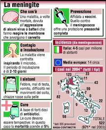 Meningite: psicosi o vero pericolo?