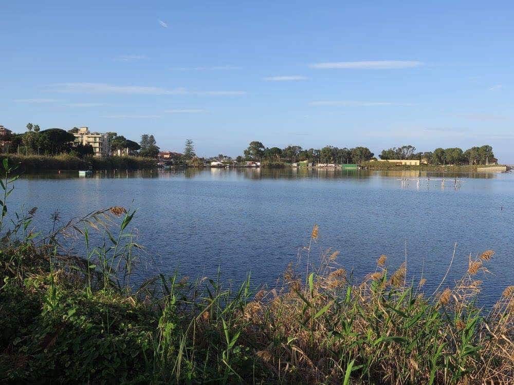 Il mito sepolto dei laghi di Ganzirri. Il tempio, la mitilicoltura e la flora selvatica