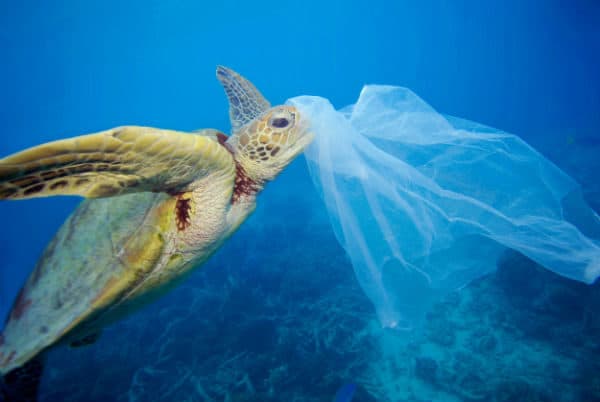 I Nostri Mari invasi dalla plastica