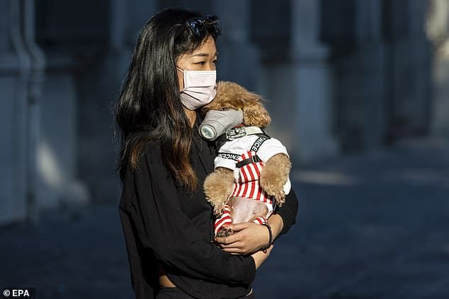 Un cane è risultato debolmente positivo al Covid-19