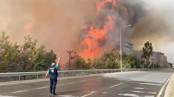 Turchia in fiamme: la lettera degli studenti che denuncia gli attacchi terroristici