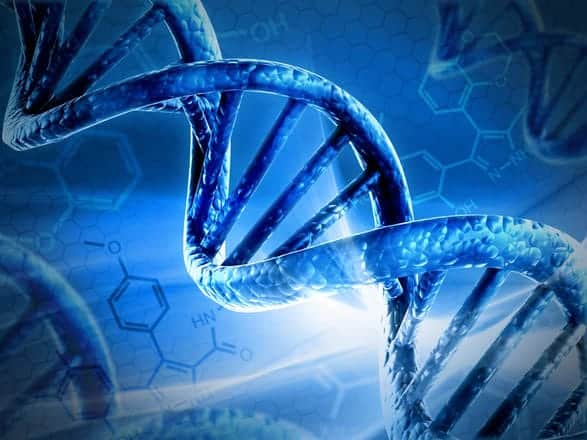 Le applicazioni di CRISPR Cas9, Nobel per la Chimica 2020