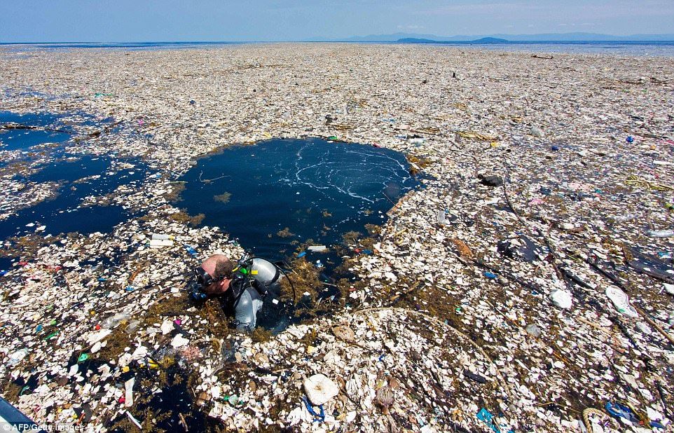 Plastica e natura: un binomio imperfetto