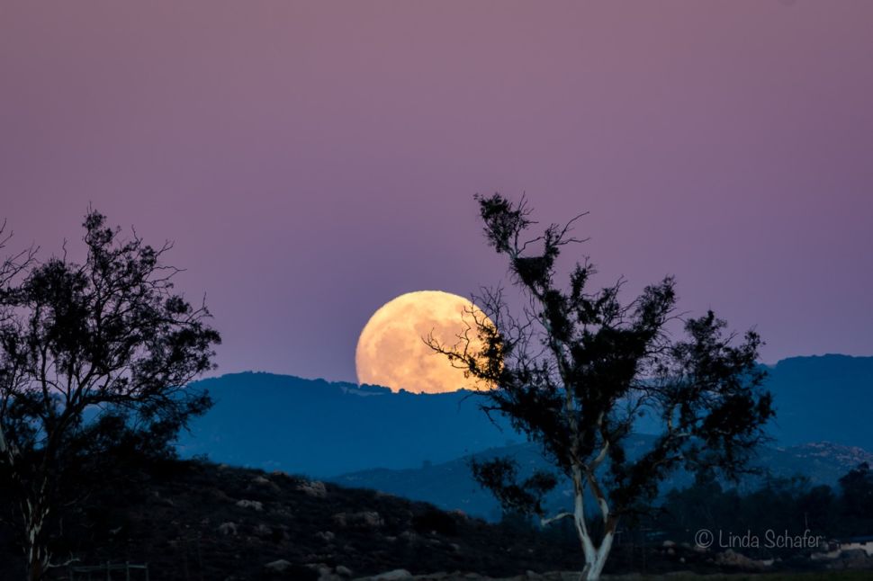 Il fenomeno della Superluna: di cosa si tratta?