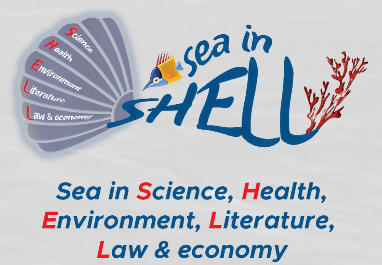 Sea in SHELL: l’evento dell’Ateneo messinese associato alla Notte dei Ricercatori Europei 2021