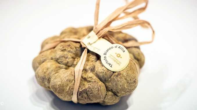 Tartufo bianco: riconosciamo quello autentico