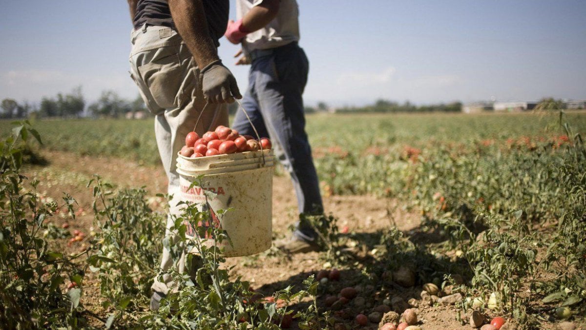 Ennesimo caso di sfruttamento di lavoratori. Coinvolta la moglie del Capo “Dipartimento Libertà Civili e Immigrazione” del Viminale