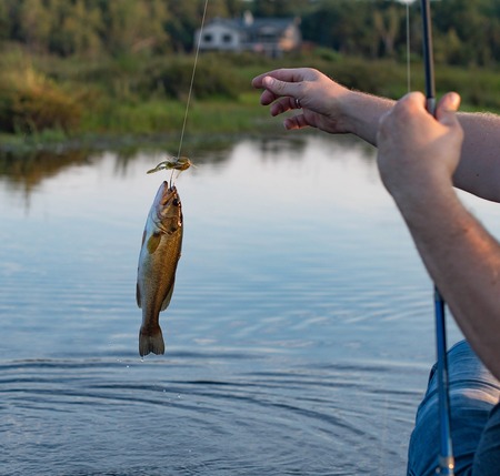 Pesca