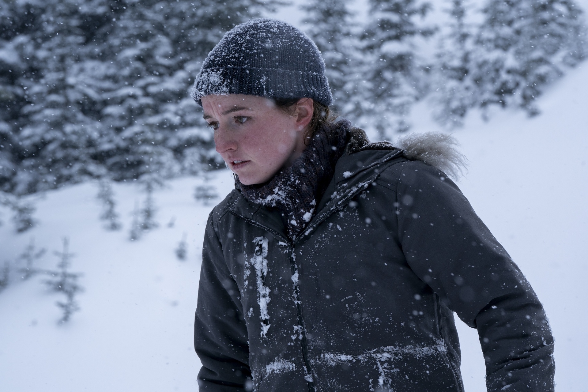 abby in the last of us