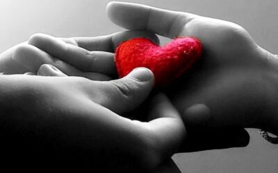 A-mors: senza morte. L’amore nel caos quotidiano