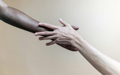 Diario dei diritti umani