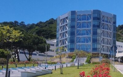 Unime Open Day 2026. Quattro giorni di orientamento attento e attrattivo