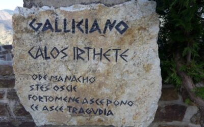 Alla ricerca del Greco di Calabria: Il grecanico
