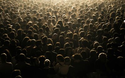 Come l’effetto bandwagon distorce la nostra realtà