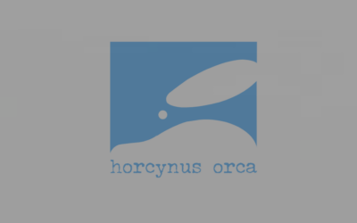 Le eutopie dell’Horcynus Festival