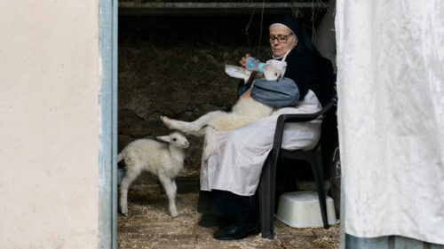 agnus dei